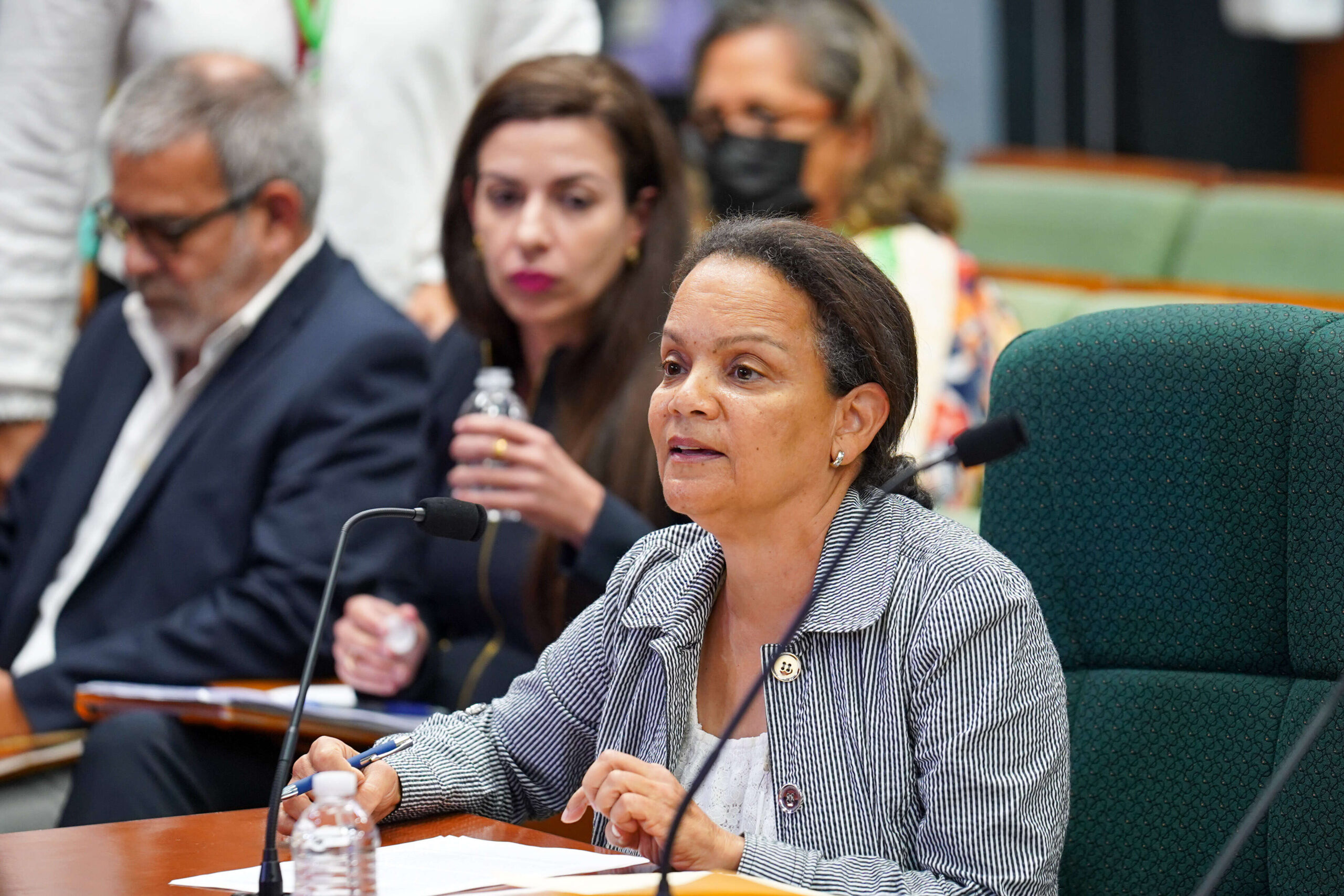 Asesora Ambiental de Casa Blanca dice que fondos de la AEE deben ser para energía solar