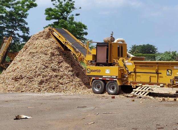 AAA inicia reciclaje de árboles de navidad en planta de composta en Mayagüez