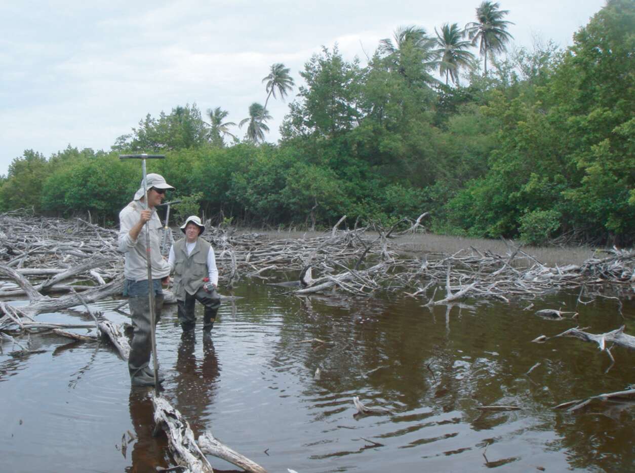 Megaterremoto de casi 9 grados y tsunami se reportaron en PR hace más de 500  años y pueden volver a