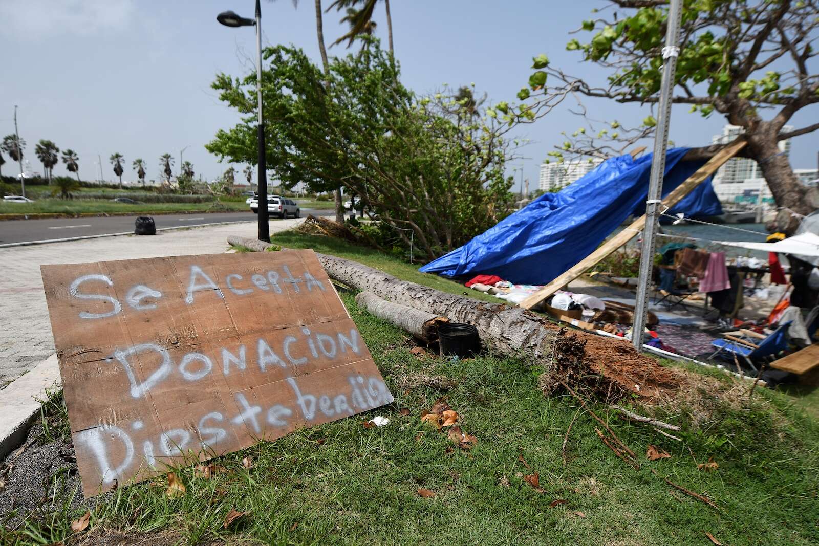 Colegio de Trabajadores Sociales recomienda que se incluya alianza con la UPR en medida de sinhogari