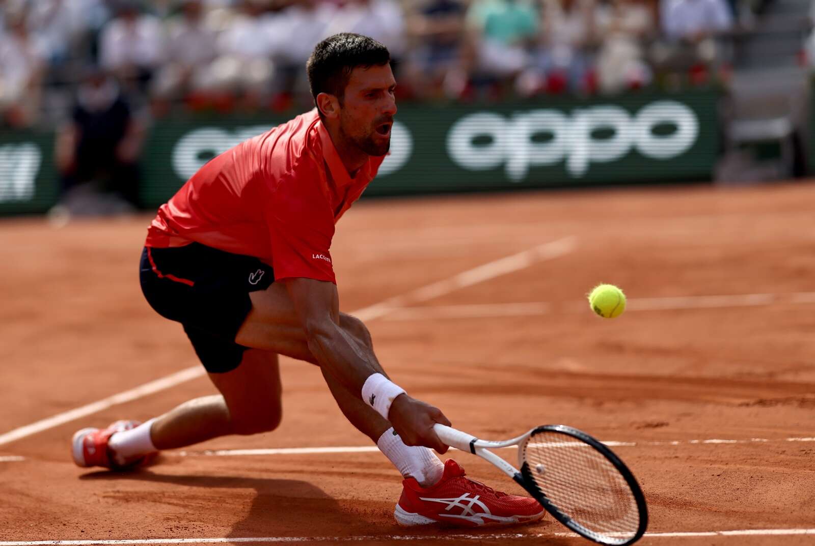 Djokovic buscará hacer historia mañana en la final de París