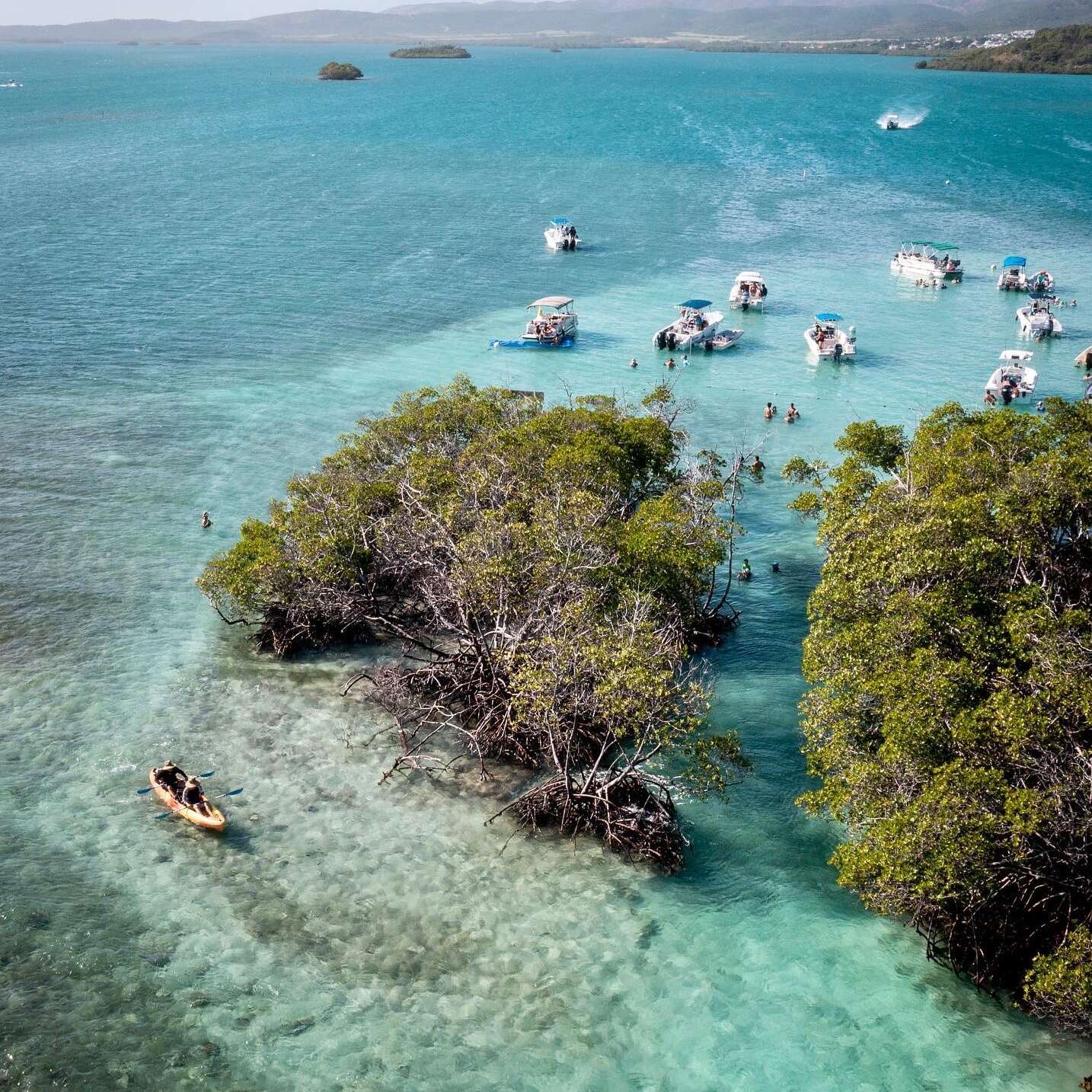 Ordenan el cierre temporal de la bahía de La Parguera