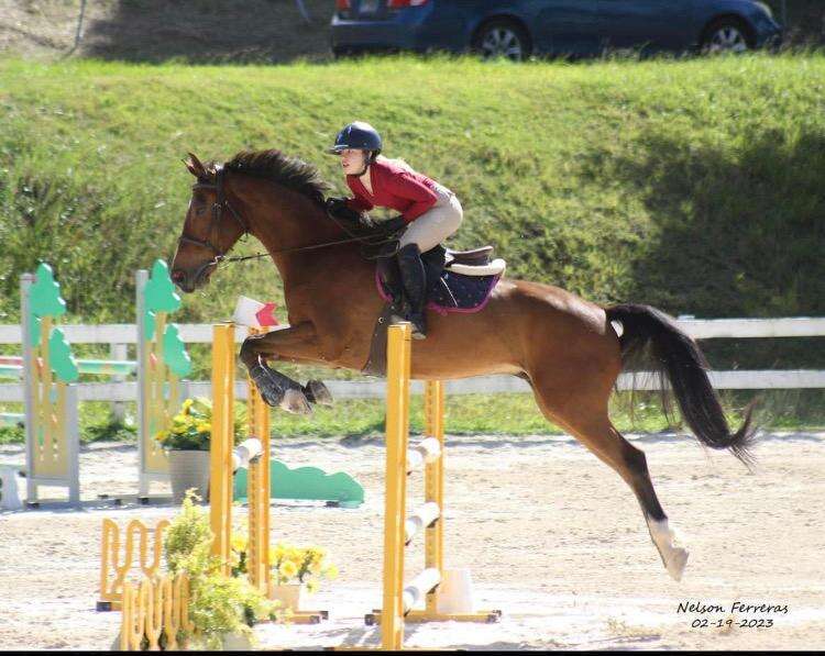 Concluye con éxito la temporada de ecuestre