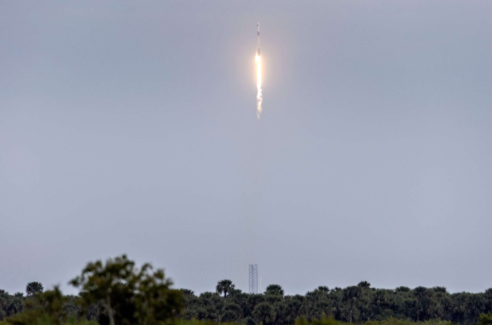 EN VIVO: Lanzamiento del cohete Falcon 9 de SpaceX