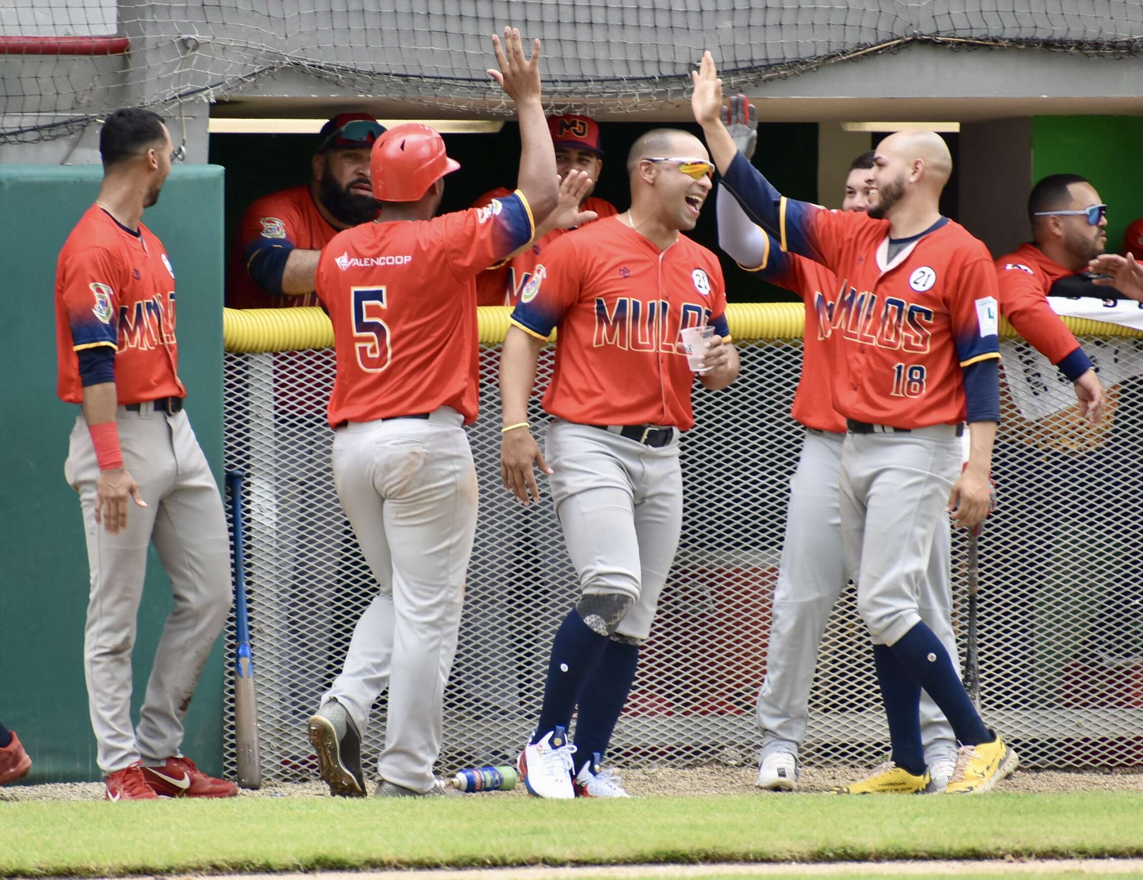 Arranca el viernes la serie final de la Coliceba