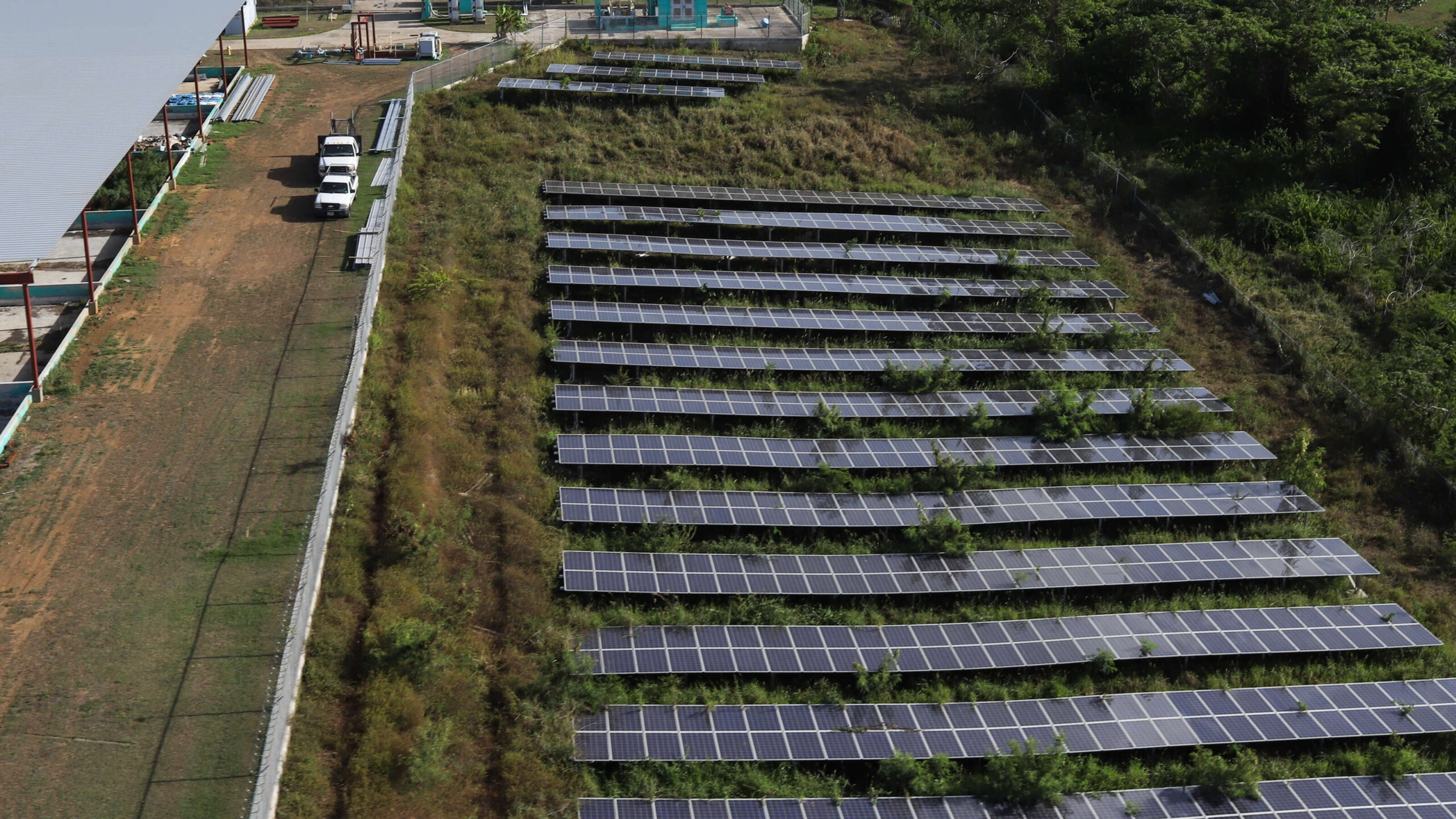 Organizaciones apelan decisión judicial sobre instalación de placas solares en tierras agrícolas