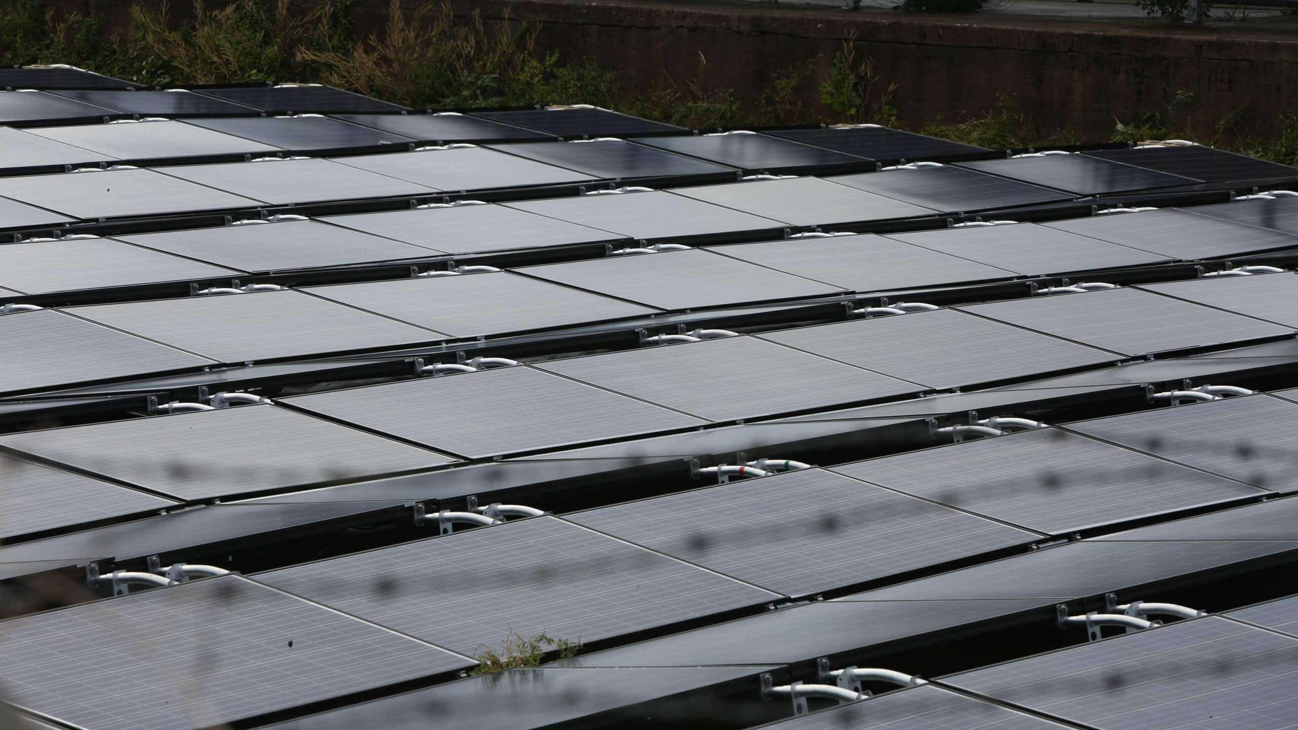 Ciudadanos acuden al Supremo para demostrar presuntos peligros de proyectos solares