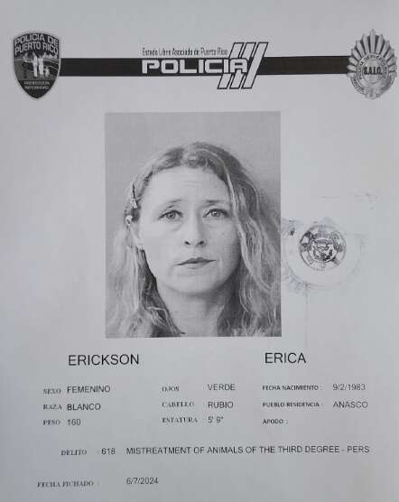 Mujer es acusada por maltratar 120 gatos en su residencia de Añasco