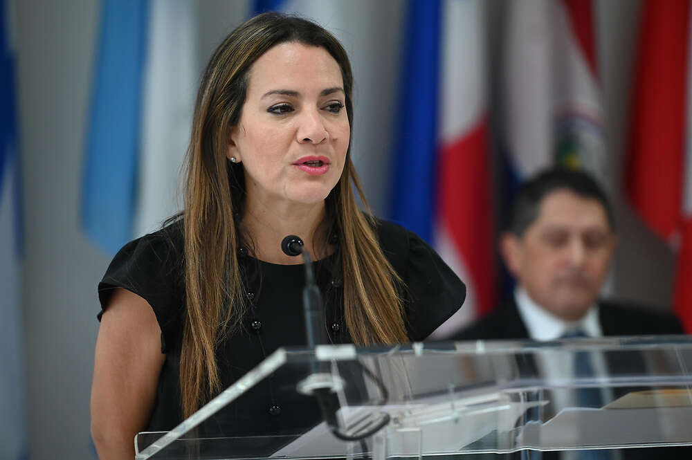 No se realizó un simulacro de cara a la primaria por falta de tiempo, según Vanessa Santo Domingo