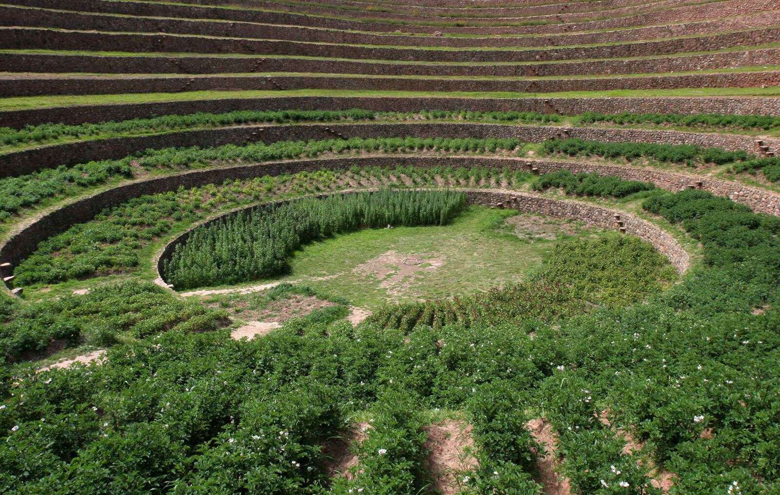 Perú impulsa un plan para recuperar 120,000 hectáreas de andenes incas y preincas