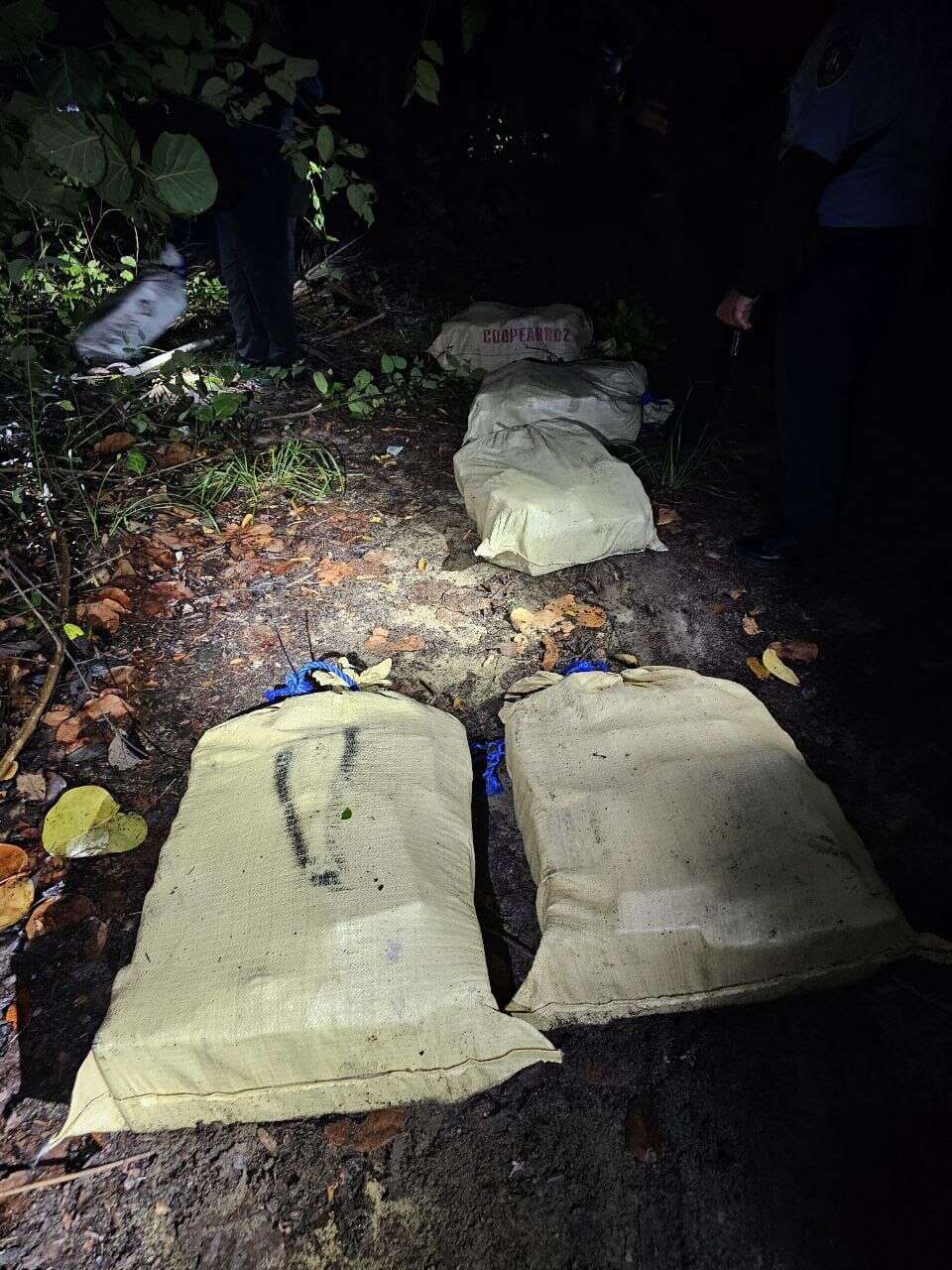 Incautan 10 fardos de cocaína en costa de Loíza