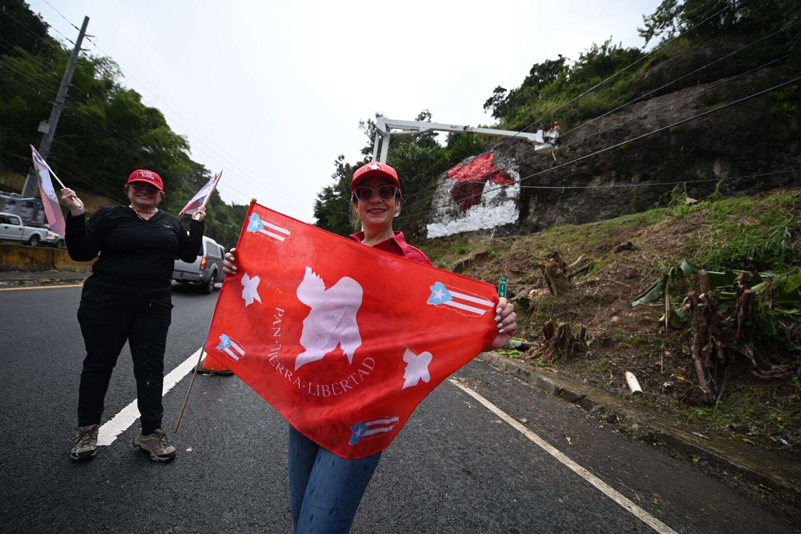 Remozan la Peña de la Pava como símbolo de la «vigencia y potencia” del PPD