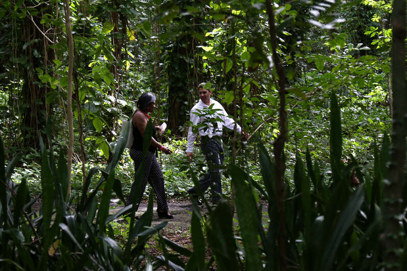 Recursos Naturales regalará mañana 6,000 árboles nativos