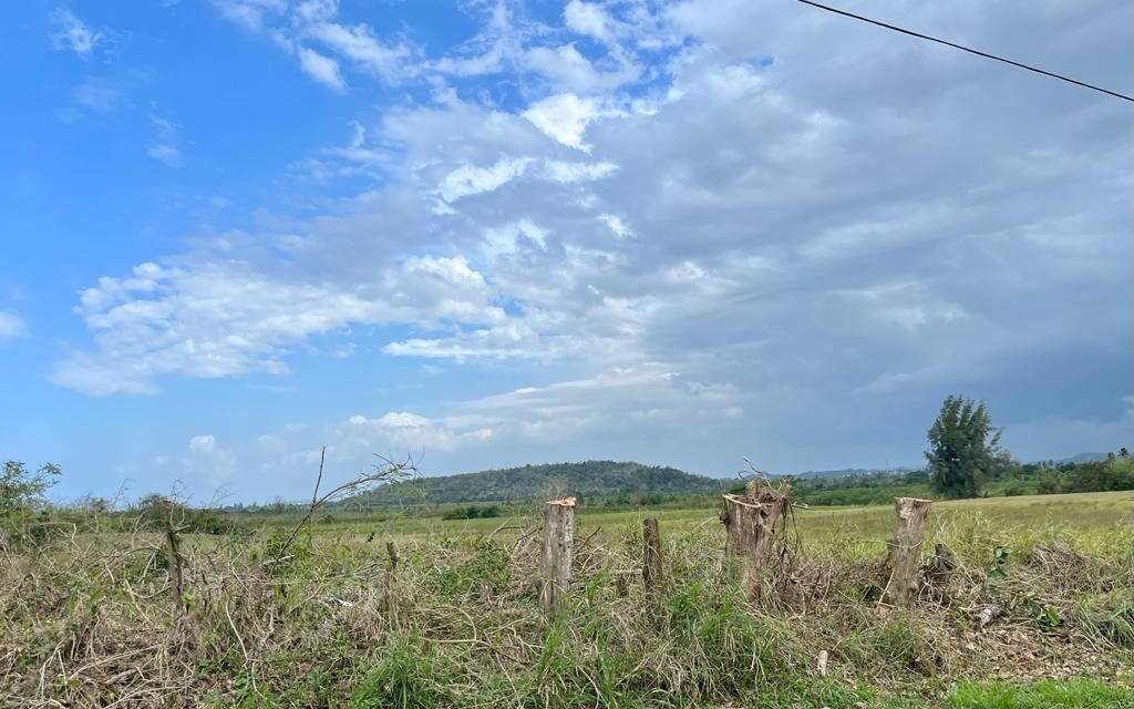 Se espera hoy un día semisoleado con posibles lluvias por la tarde