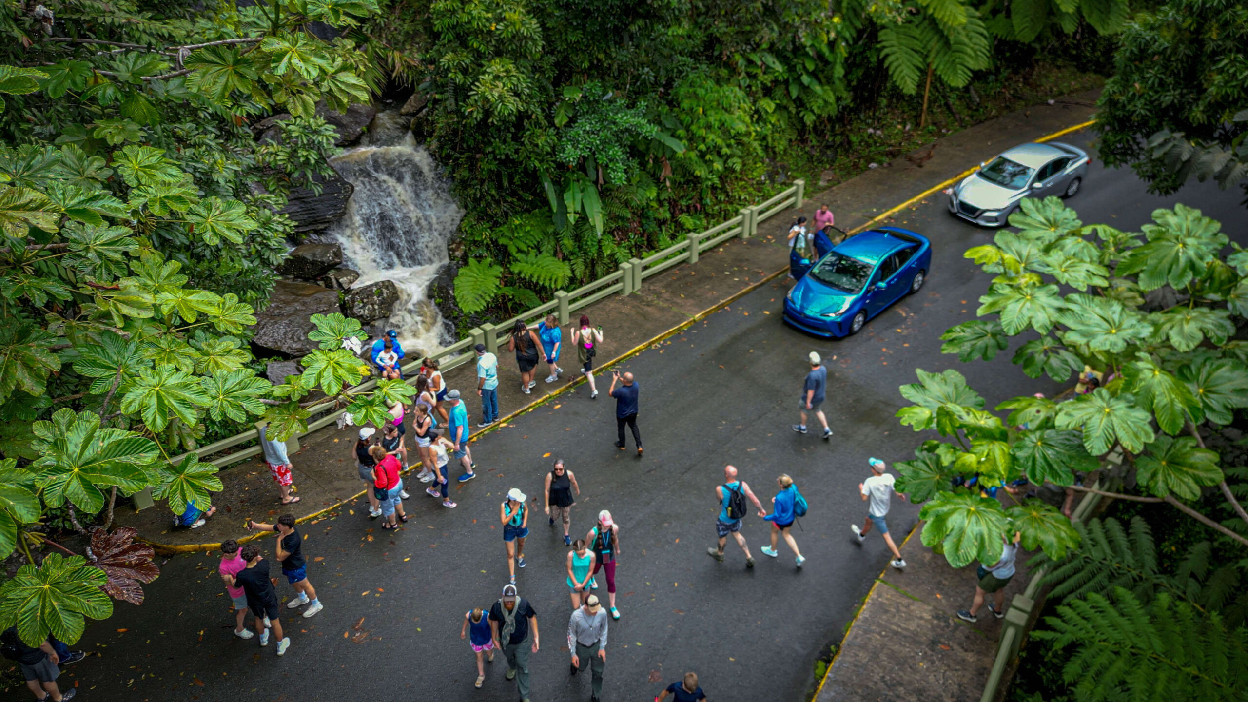 Anuncian cambios en la operación de El Yunque durante las festividades navideñas