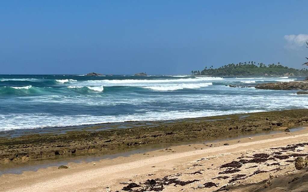 Tendremos hoy un día parcialmente nublado