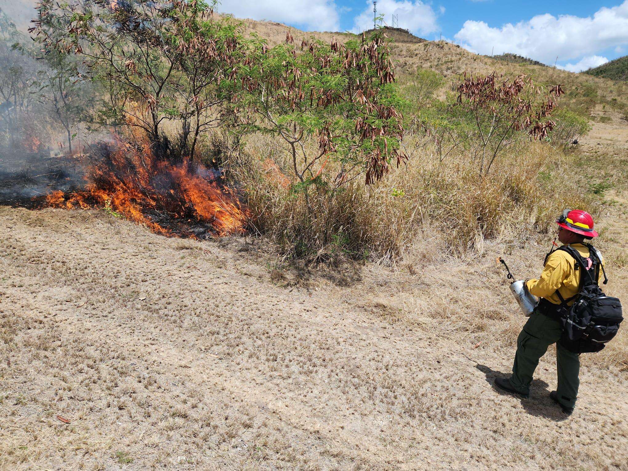 Negociado de Bomberos ha atendido 37 fuegos forestales durante enero
