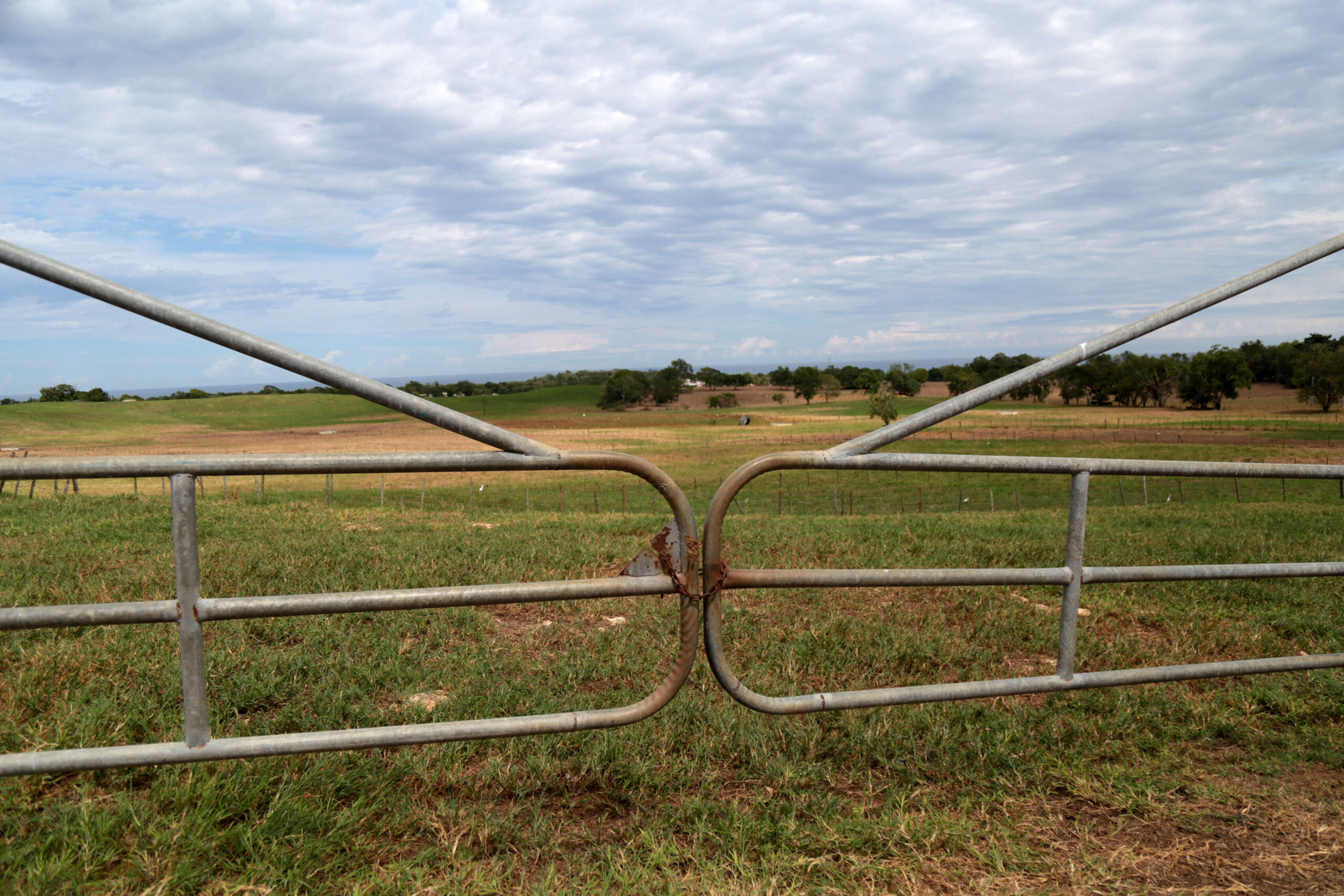 Se pronostica una mañana nublada, pero la tarde estará despejada