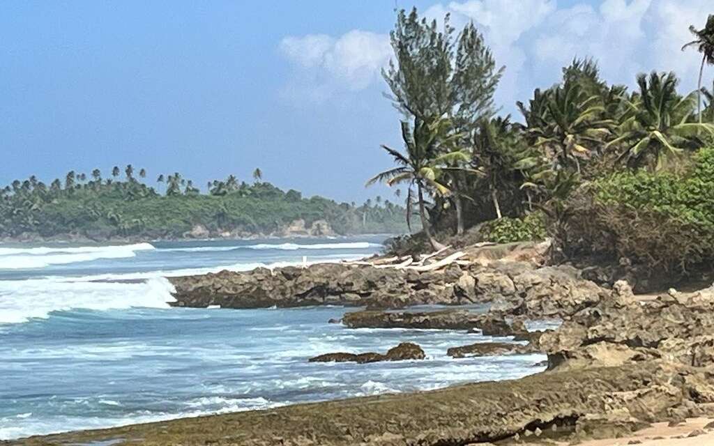 Continúa el tiempo ventoso y lluvioso