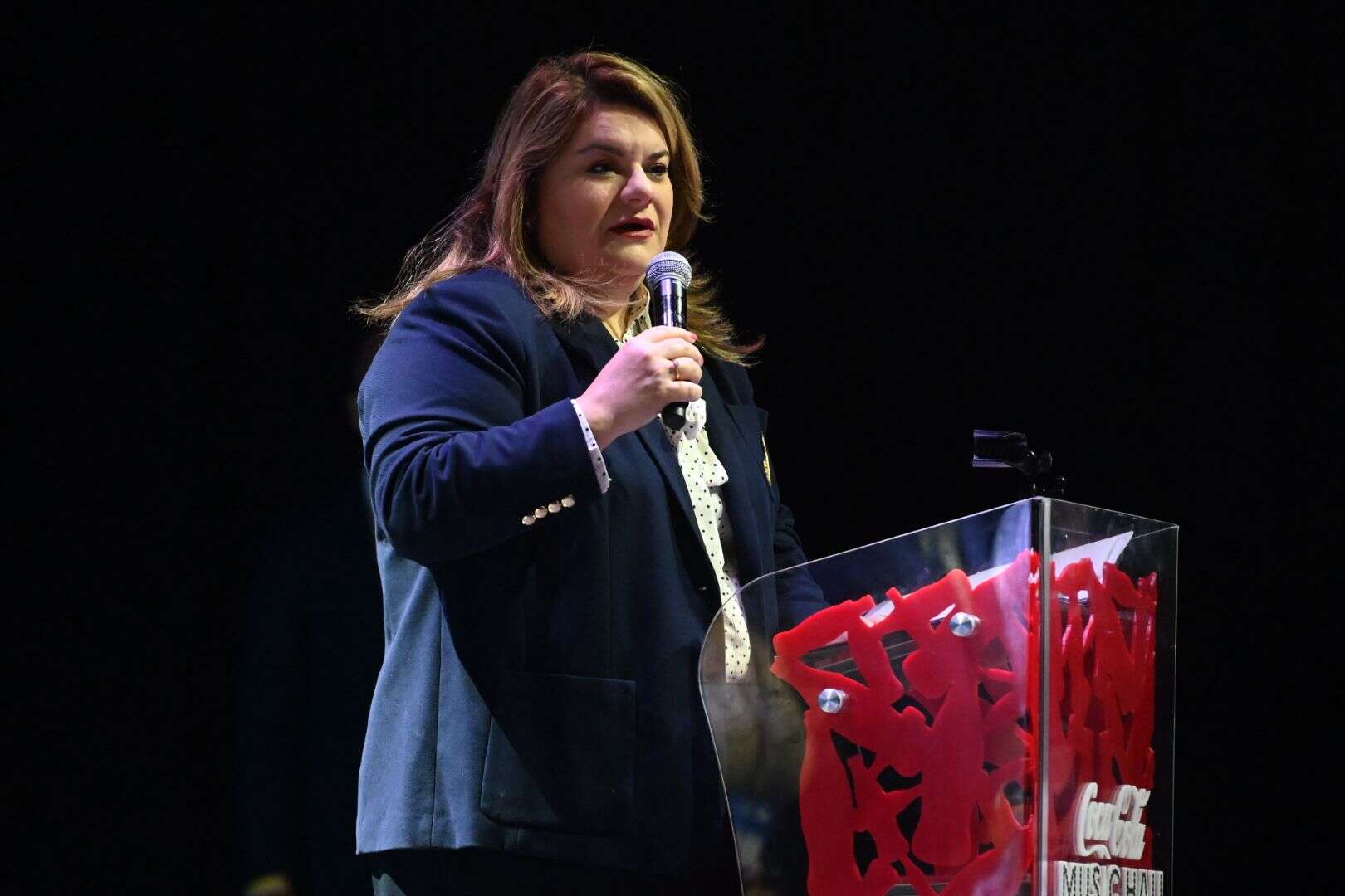 Gobierno celebra cumbre para manejar situaciones de emergencias