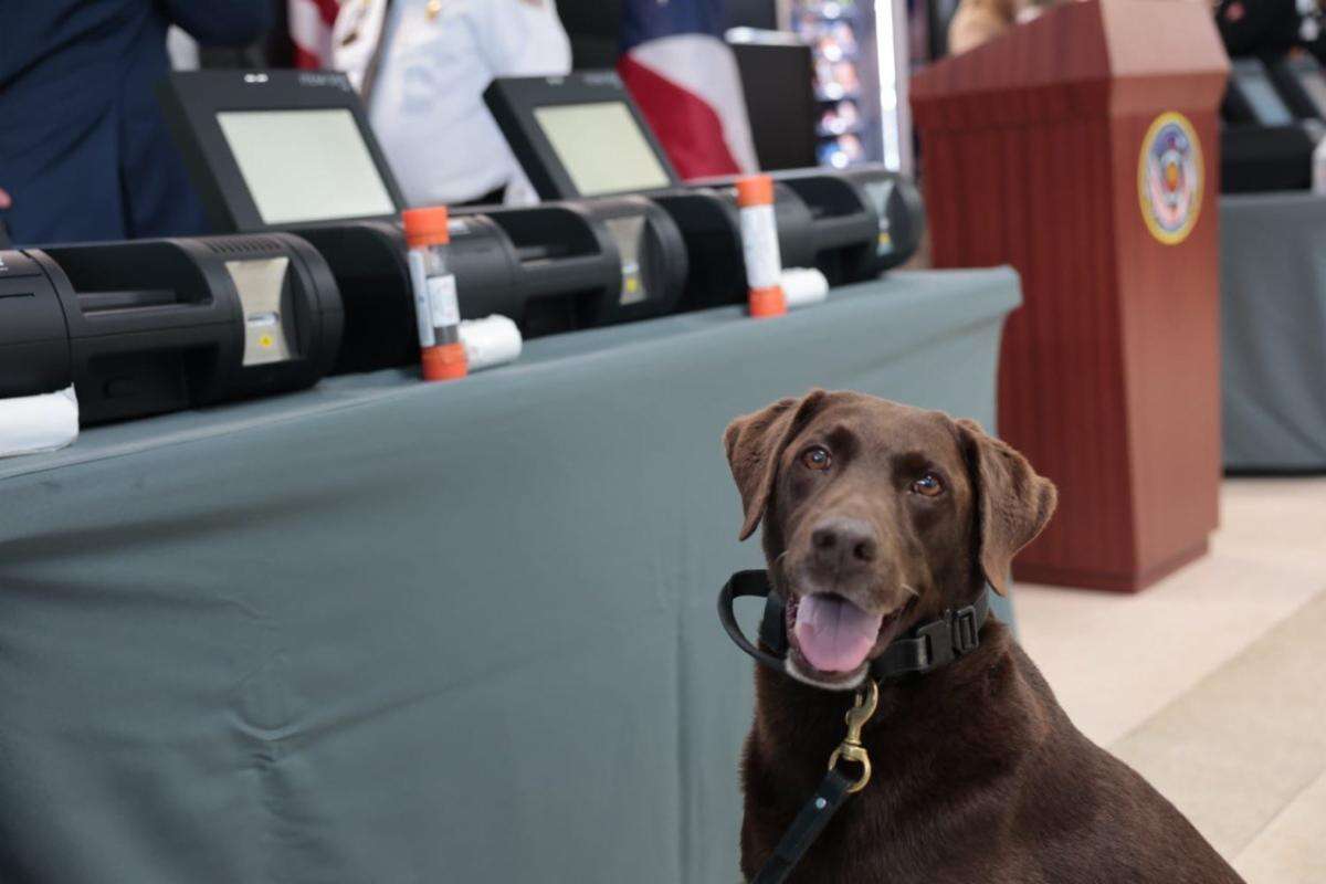 Corrección adquiere equipo para detectar drogas y explosivos en cárceles