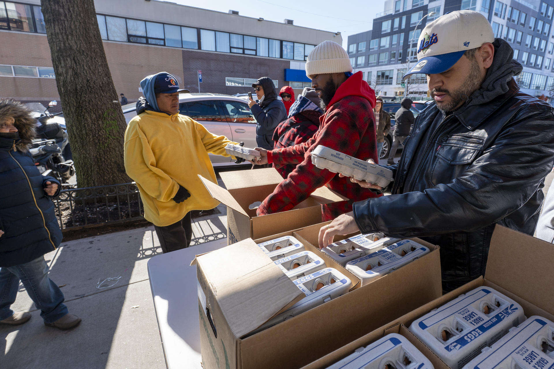 Treinta docenas de huevos se fueron como pan caliente en repartición benéfica en Queens