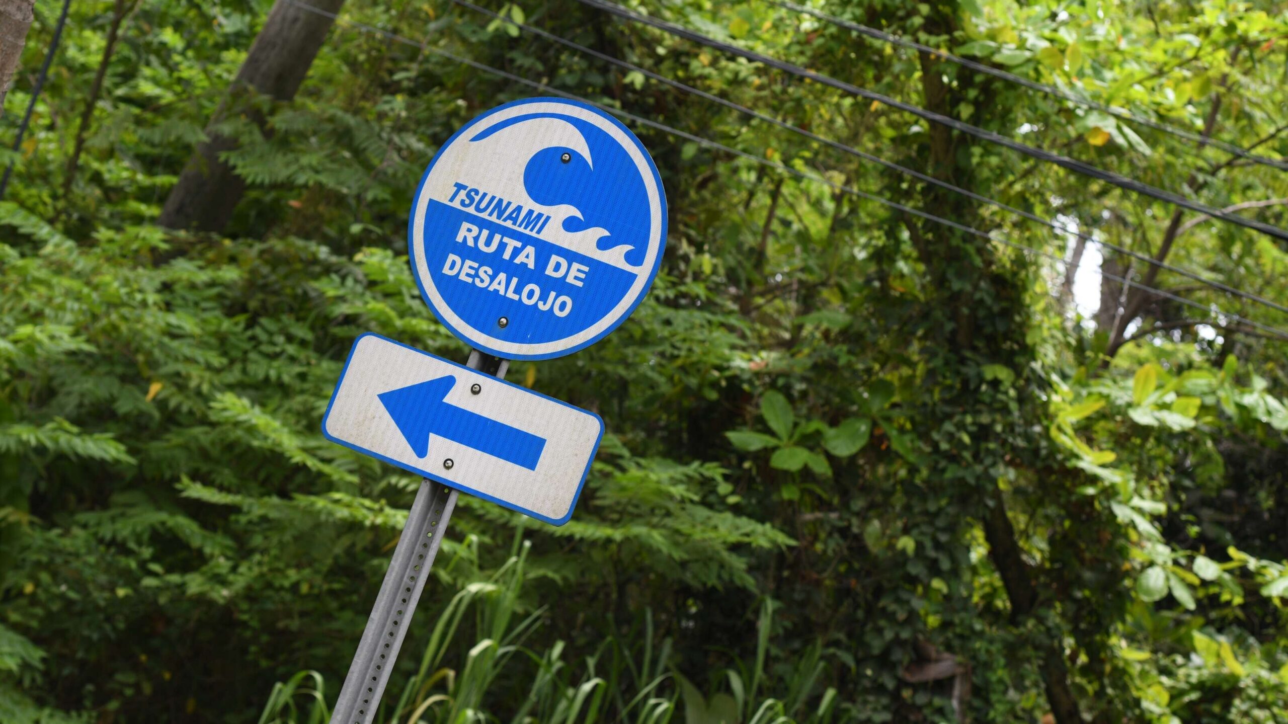 UPR Carolina realiza conferencia para orientar sobre tsunamis y terremotos