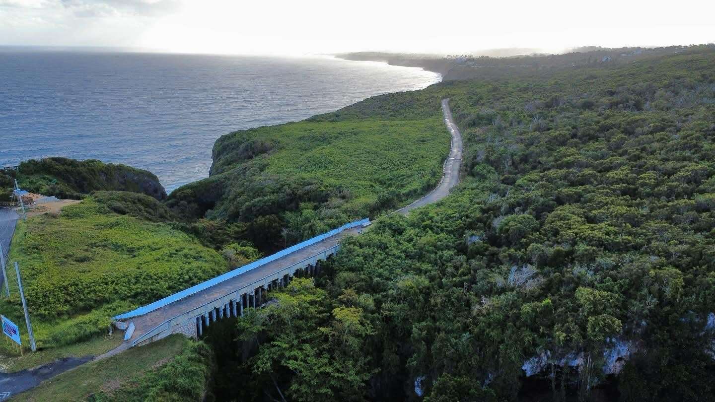 Denuncian puente que amenaza hábitat crítico y especie en peligro de extinción en Quebradillas