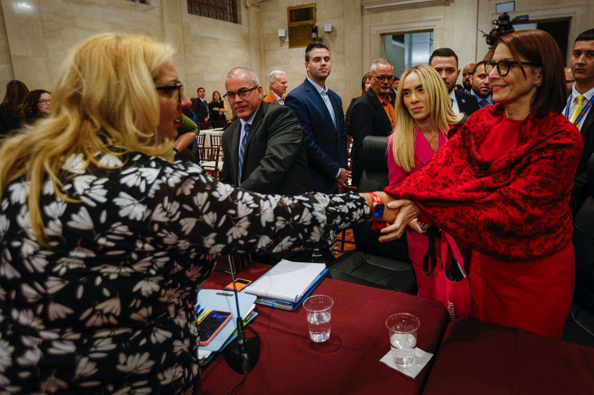 Ferraiuoli necesita por lo menos 15 senadores que la favorezcan