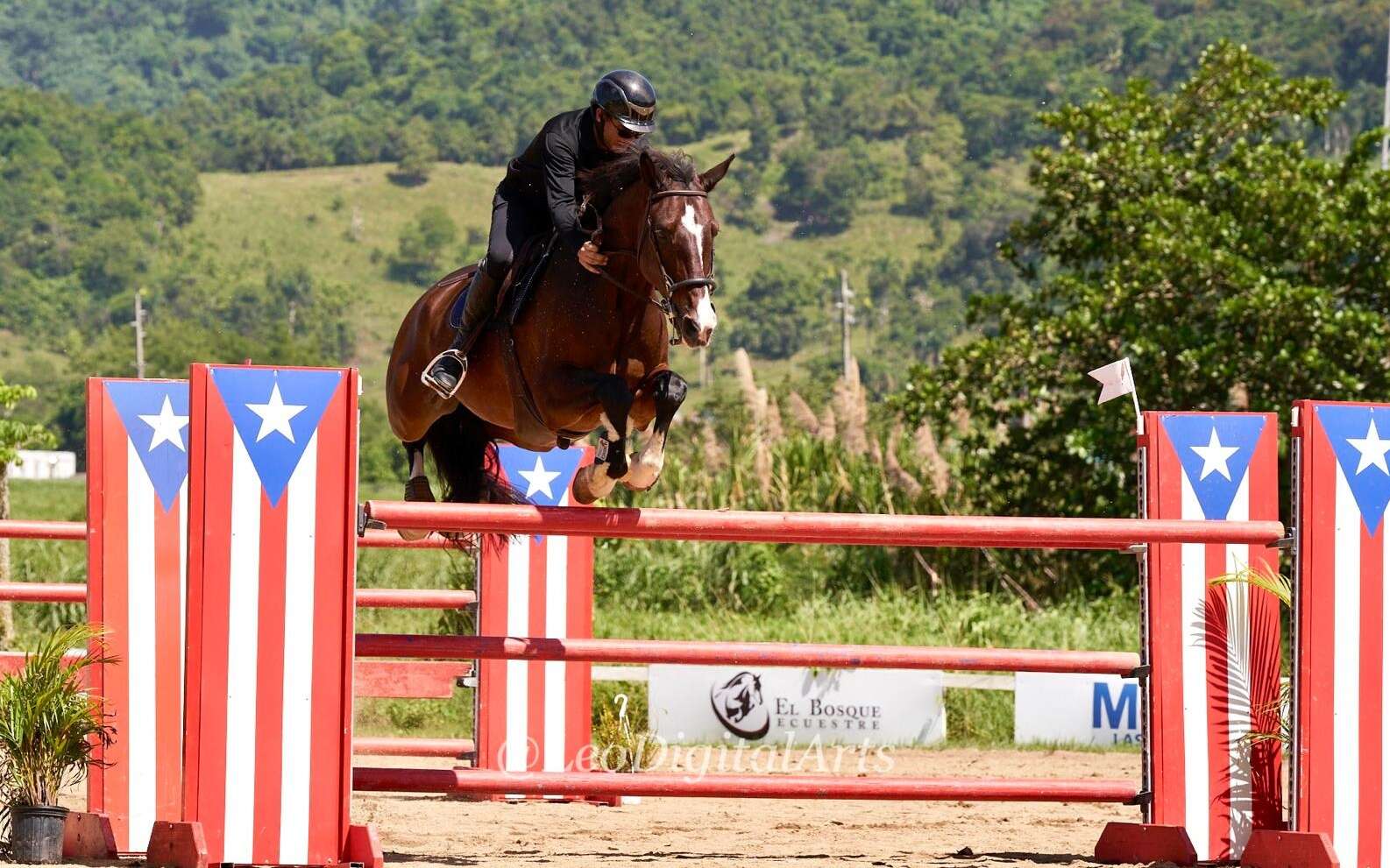 Gran actuación de jinete boricua en evento de la FEI