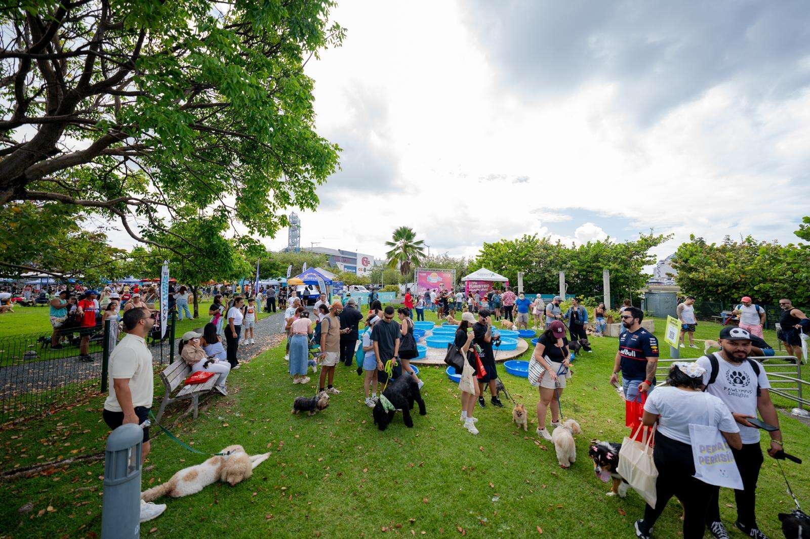 Exitosa la segunda edición del evento Bark and Play