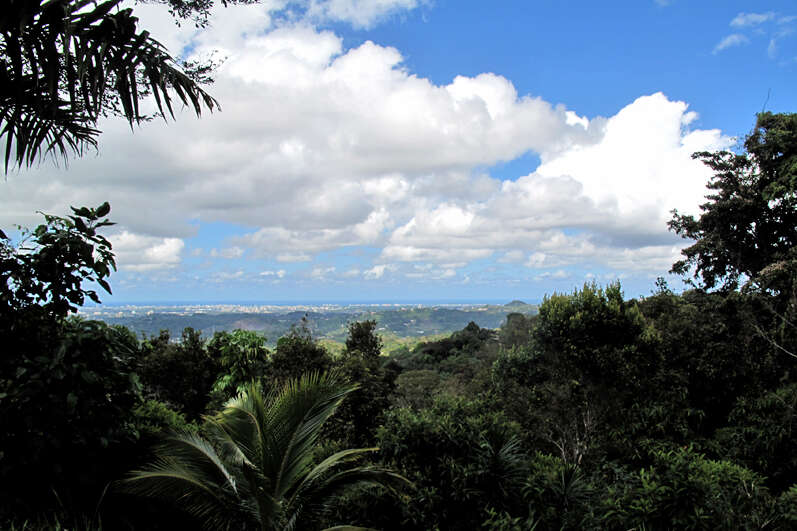 Hoy mayormente soleado con algunas lluvias dispersas