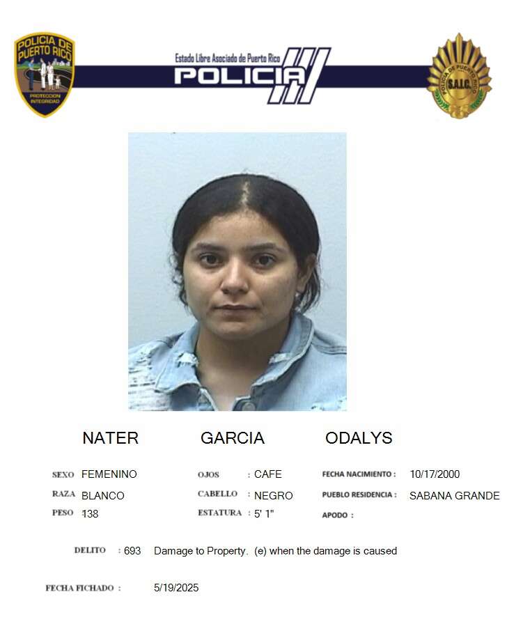 Radican cargos a mujer por causar daños a patrullas de la policía