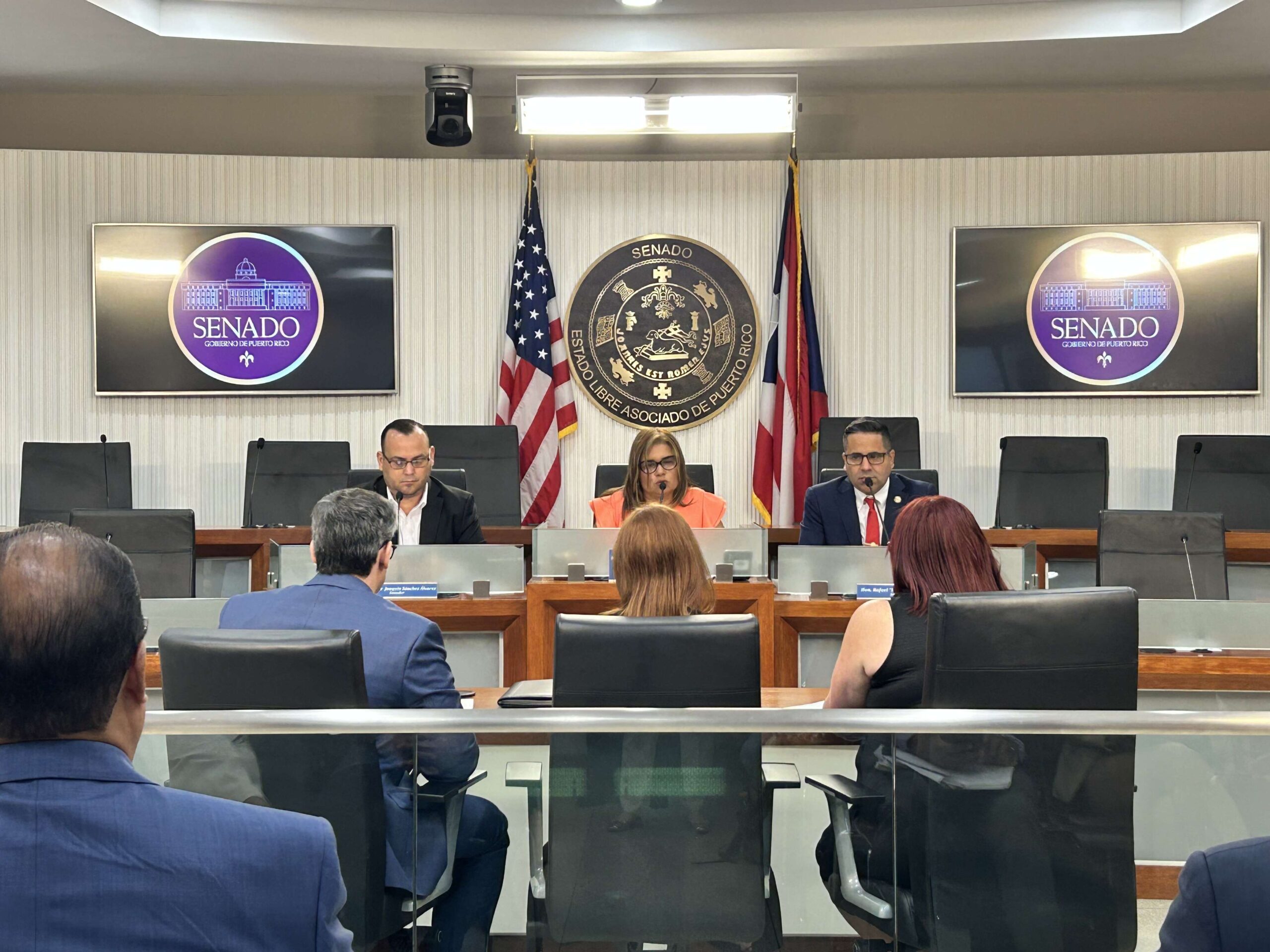 Ambivalente la postura de Instituto de Cultura a la idea de un traslado