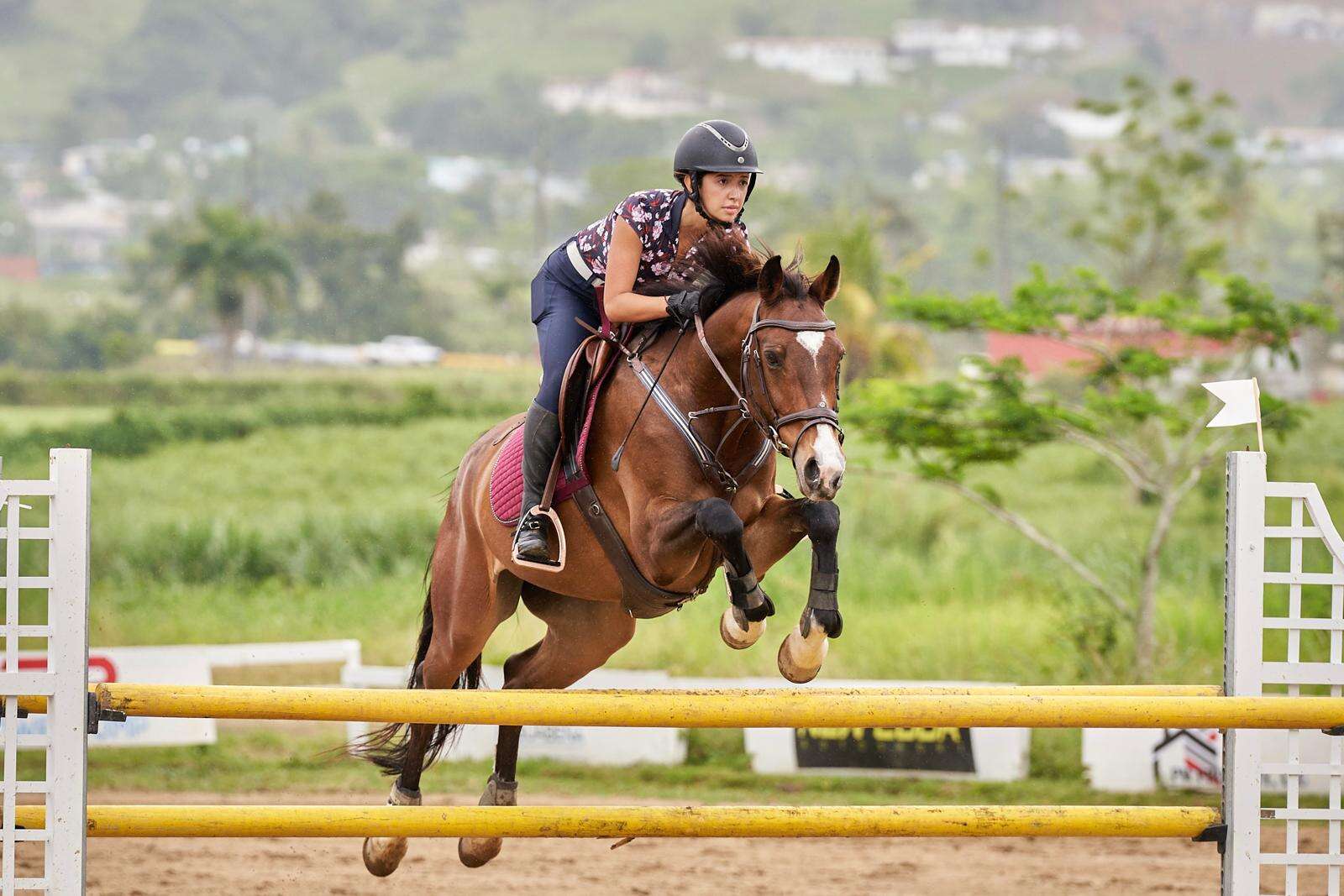 Resaltan cuatro jinetes en concurso de saltos ecuestres