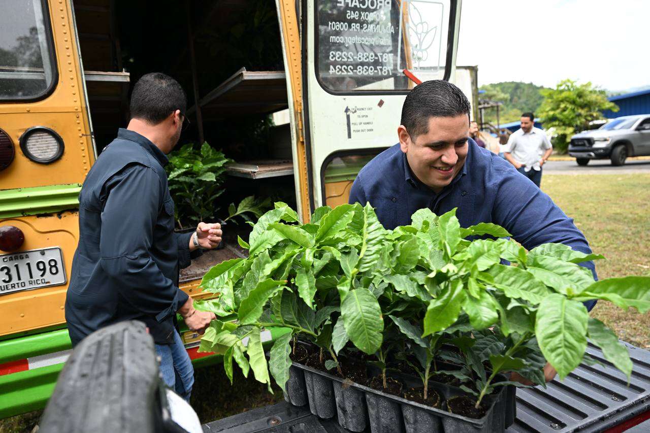 Arranca iniciativa de Agricultura para distribuir 150,000 árboles de café