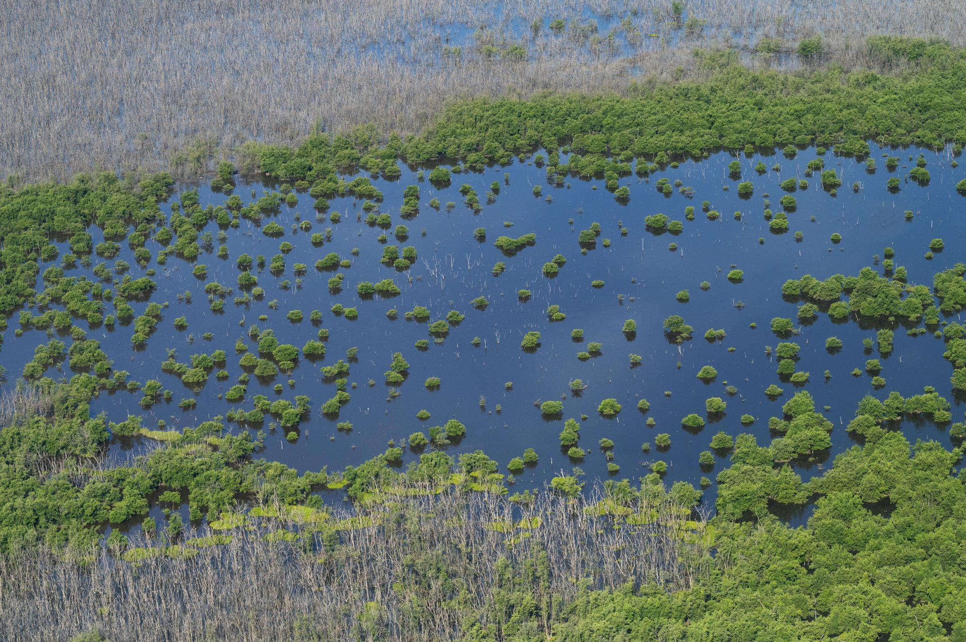Ambientalistas se oponen a la   creación de un ‘Alcatraz’ en reserva natural
