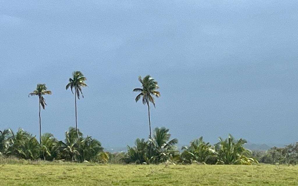 Polvo del Sahara reduce visibilidad y calidad del aire