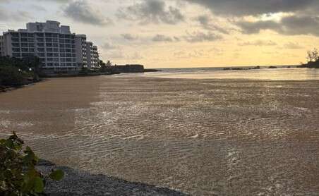 Advierten sobre peligrosidad del sargazo cerca a las plantas de generación