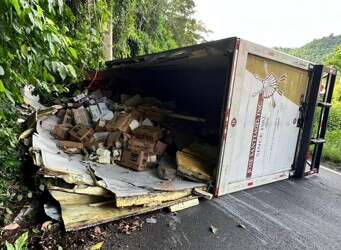 Camión volcado provoca cierre de carretera en Comerío