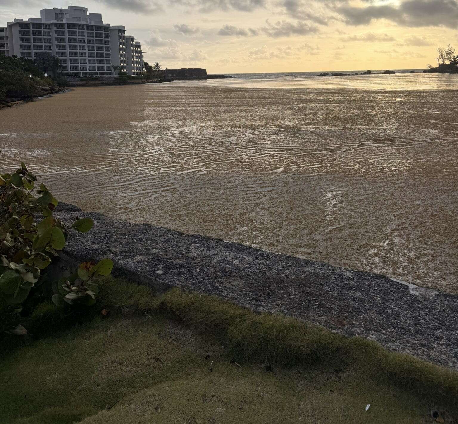 Secretario del DRNA ve potencial agrícola en el sargazo