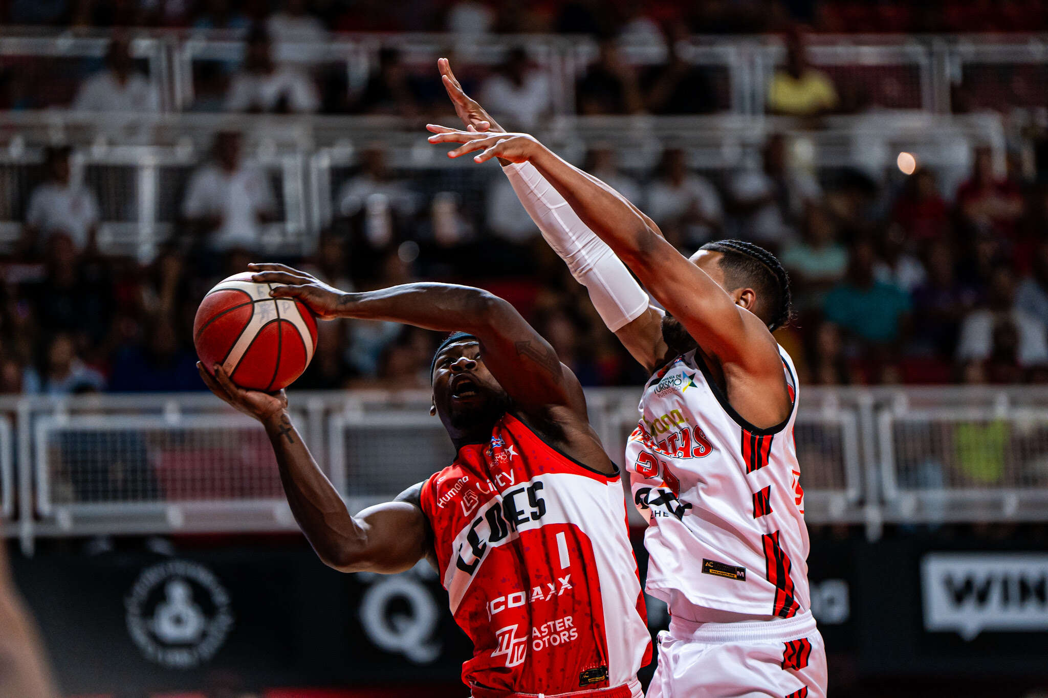 Se acercan los Leones a la próxima ronda