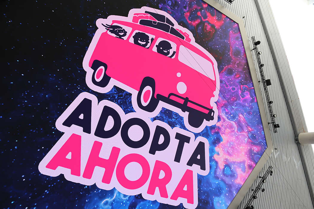 Adopta Ahora recogerá alimentos no perecederos para ayudar a hogares sustitutos