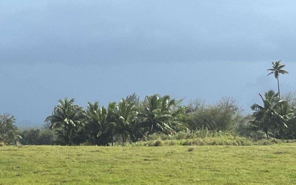 Otro día caluroso con polvo del Sahara y mala calidad el aire