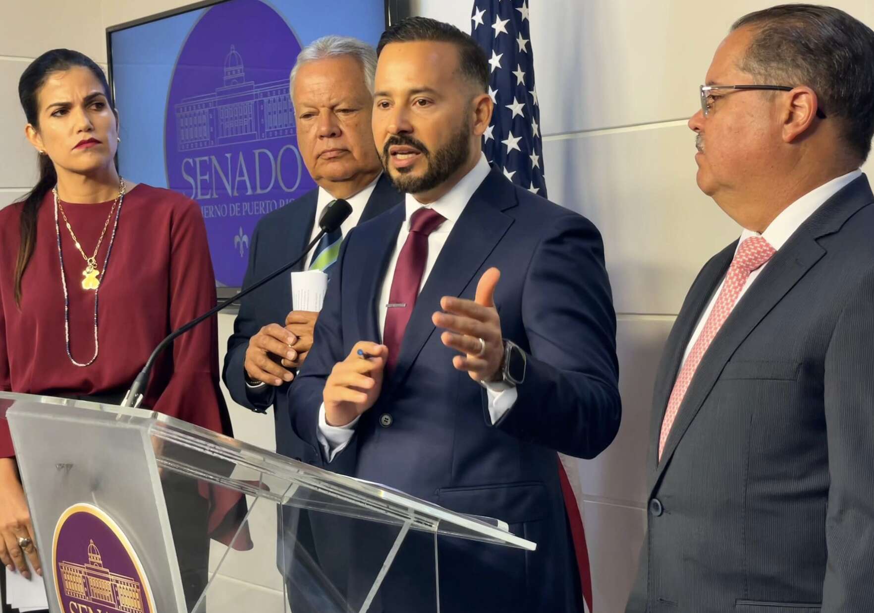 Delegación PPD en el Senado pide vista de interpelación de LUMA, AEE y el Zar de energía.