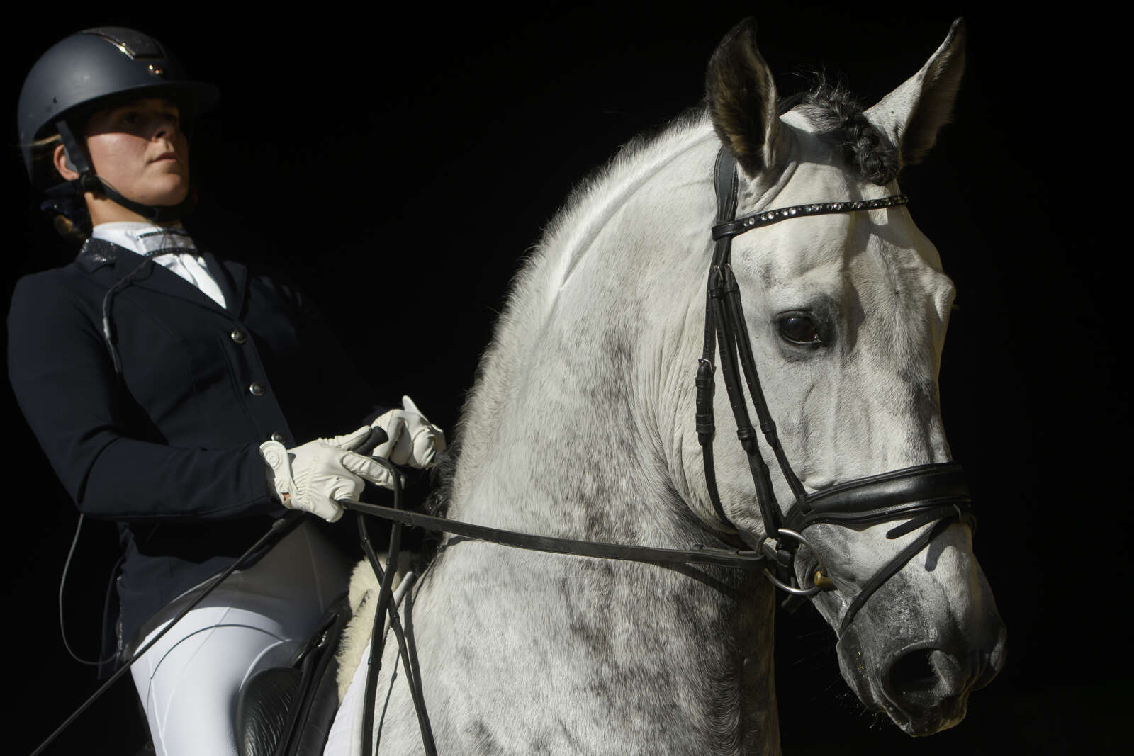 Una modificación genética fue clave para que los caballos fueran aptos para la monta