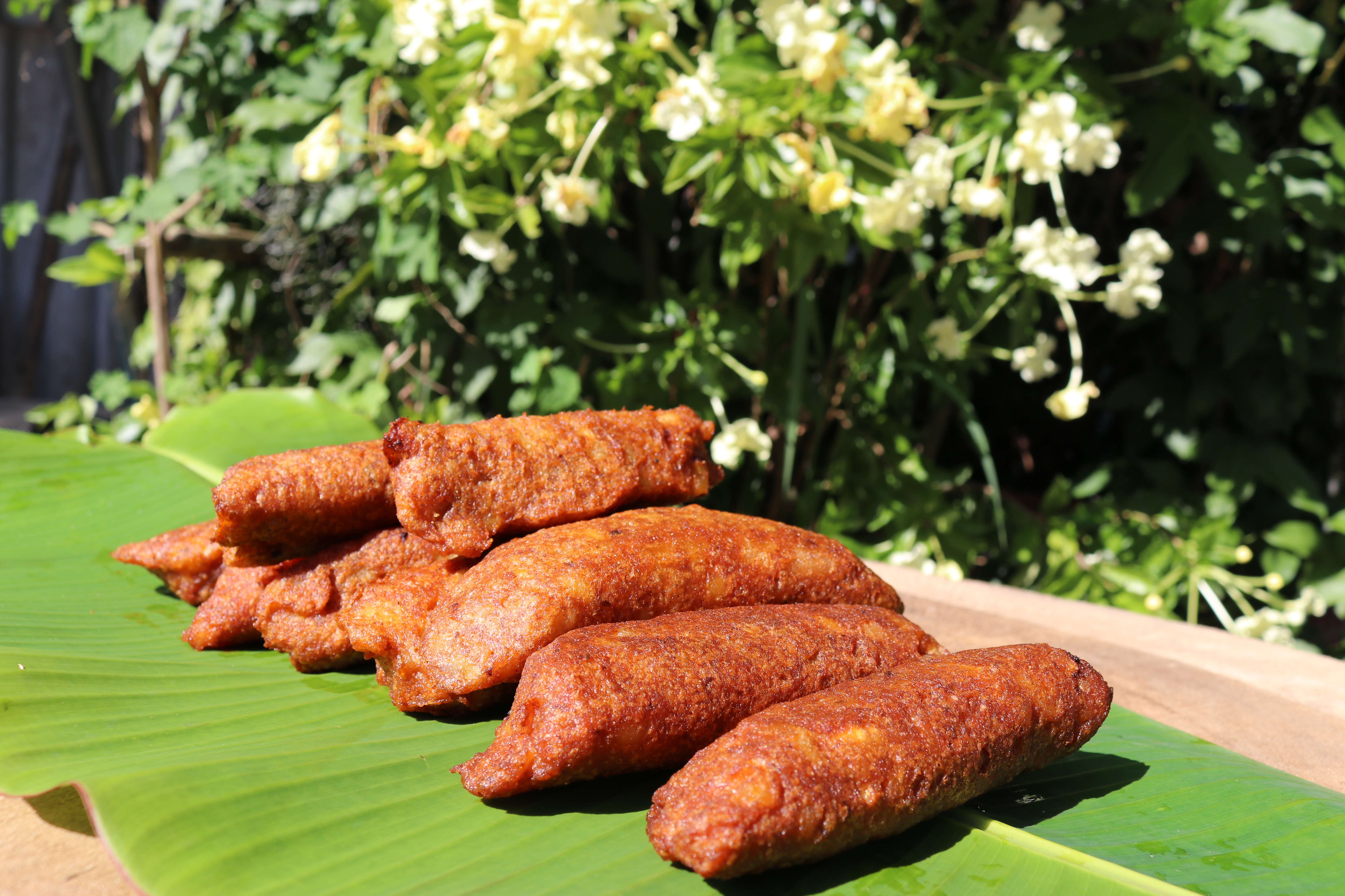 Festival del Macabeo cumple 40 años de tradición en Trujillo Alto
