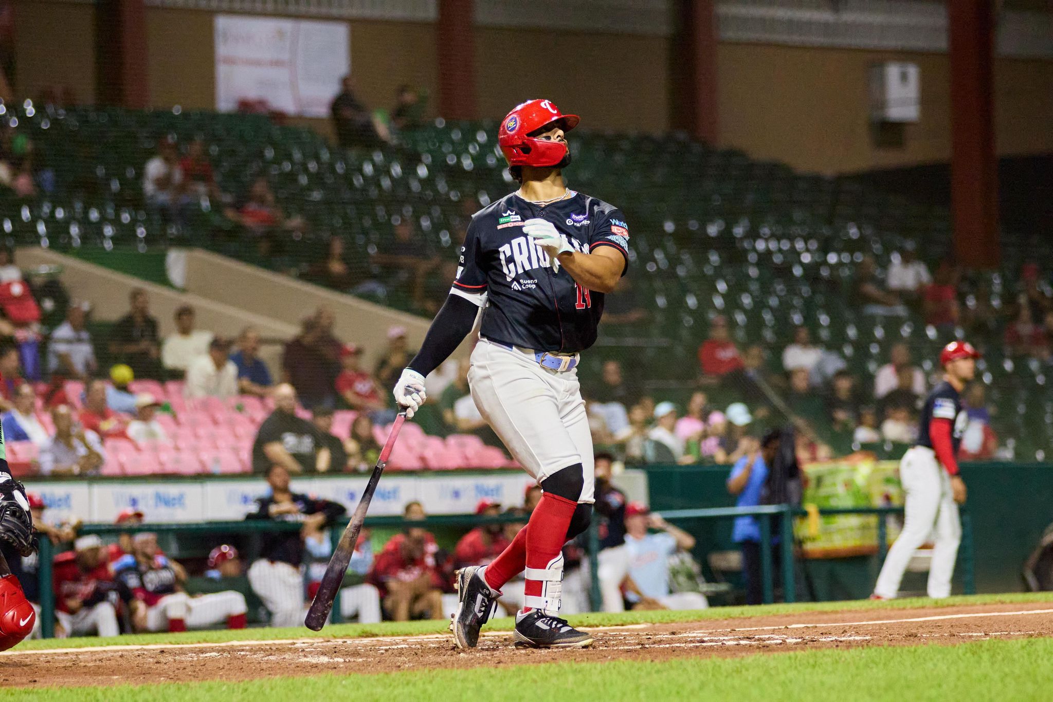 Criollos, Leones y Senadores suman victorias en el béisbol profesional