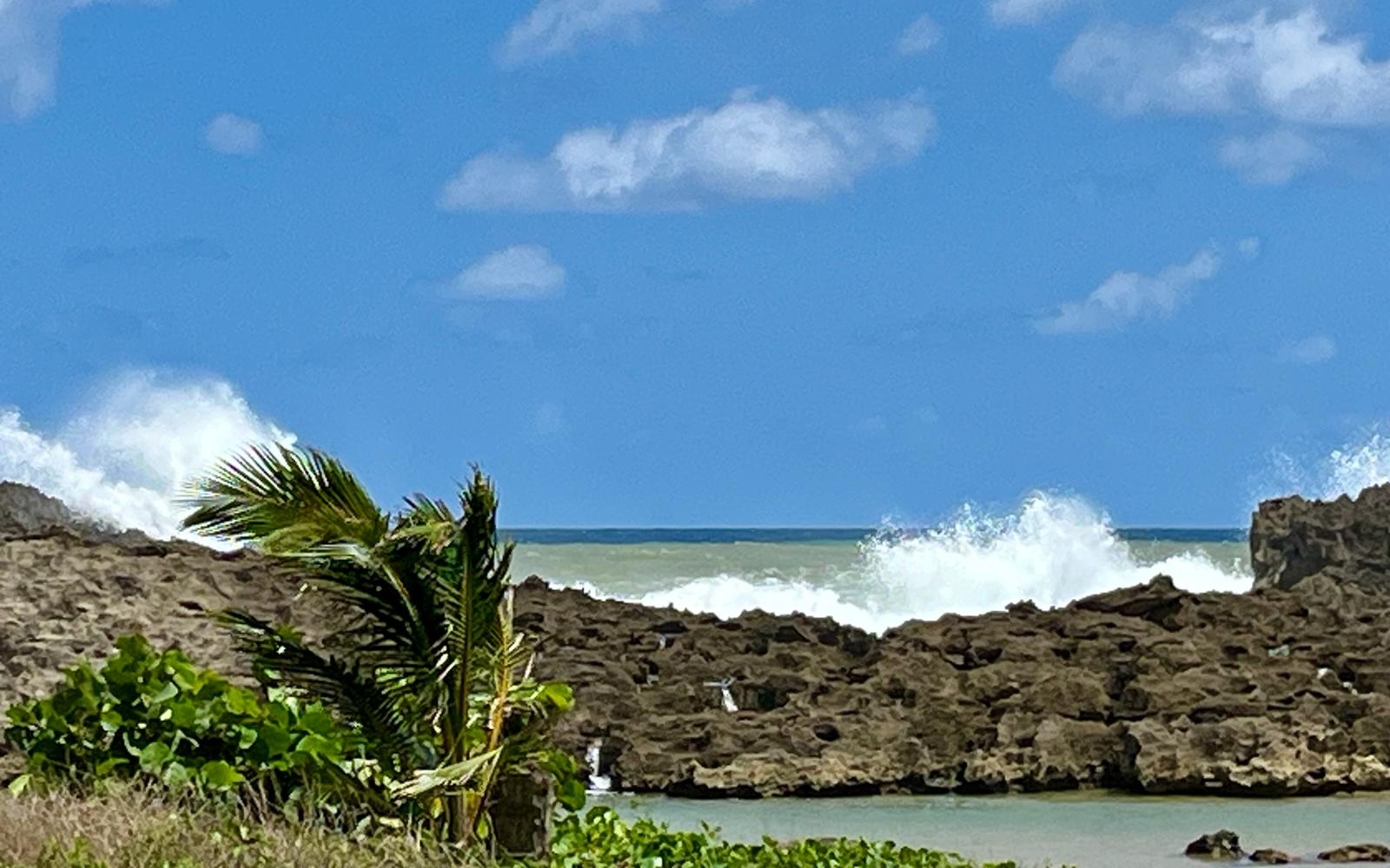 Continúa peligroso el oleaje en las playas del norte