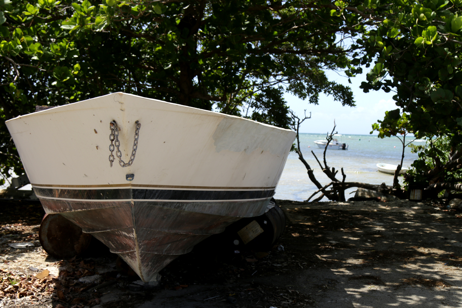 Anuncian millonaria inversión para pescadores y transporte público en el suroeste